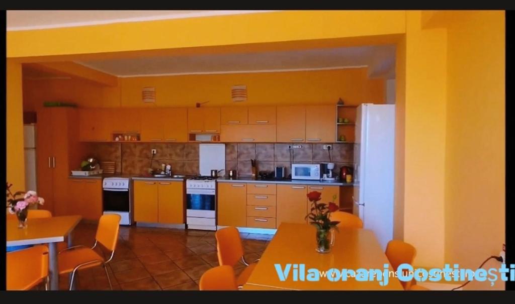 ホテル Vila Oranj コスティネシュティ エクステリア 写真